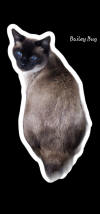 P718